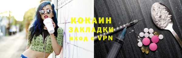 молекула духа Арсеньев