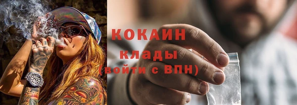 молекула духа Арсеньев