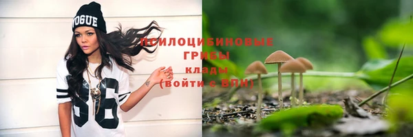 тгк Баксан
