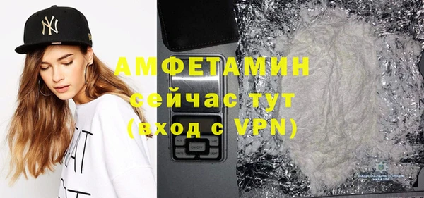 молекула духа Арсеньев