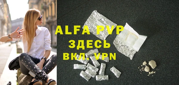молекула духа Арсеньев