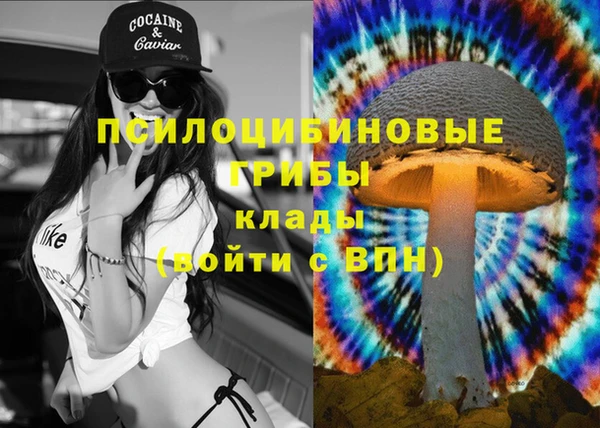 молекула духа Арсеньев