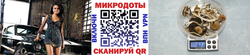 Псилоцибиновые грибы Psilocybine cubensis  купить наркоту  кракен как зайти  Белово 