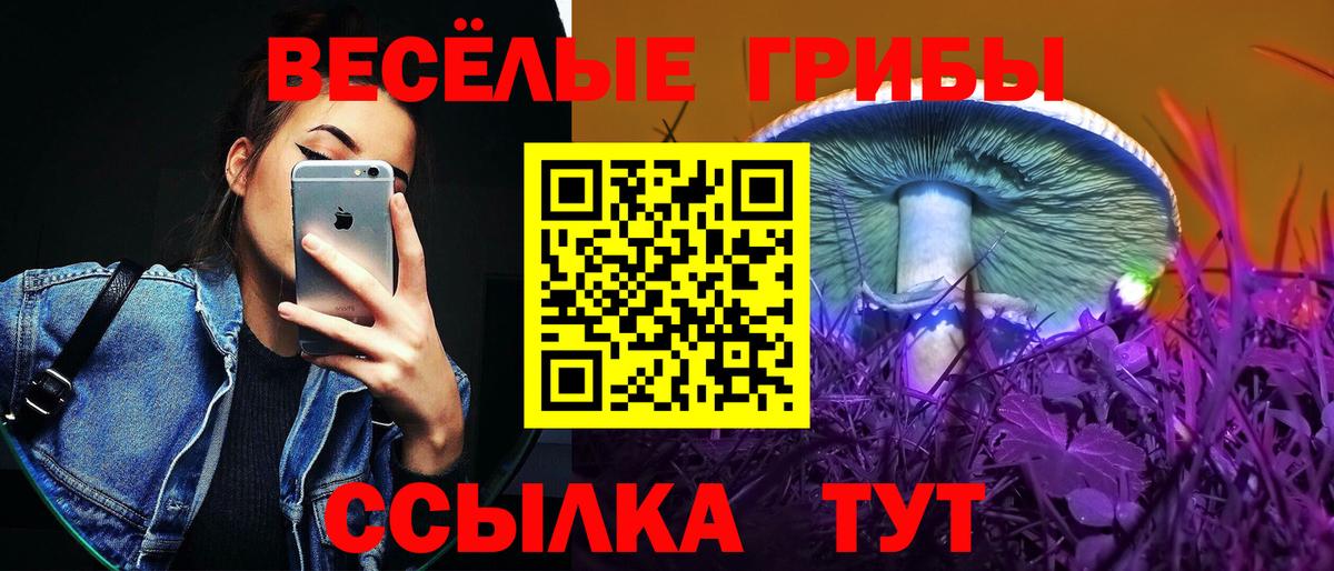 Белово  Псилоцибиновые грибы Magic Shrooms  Вход с VPN 