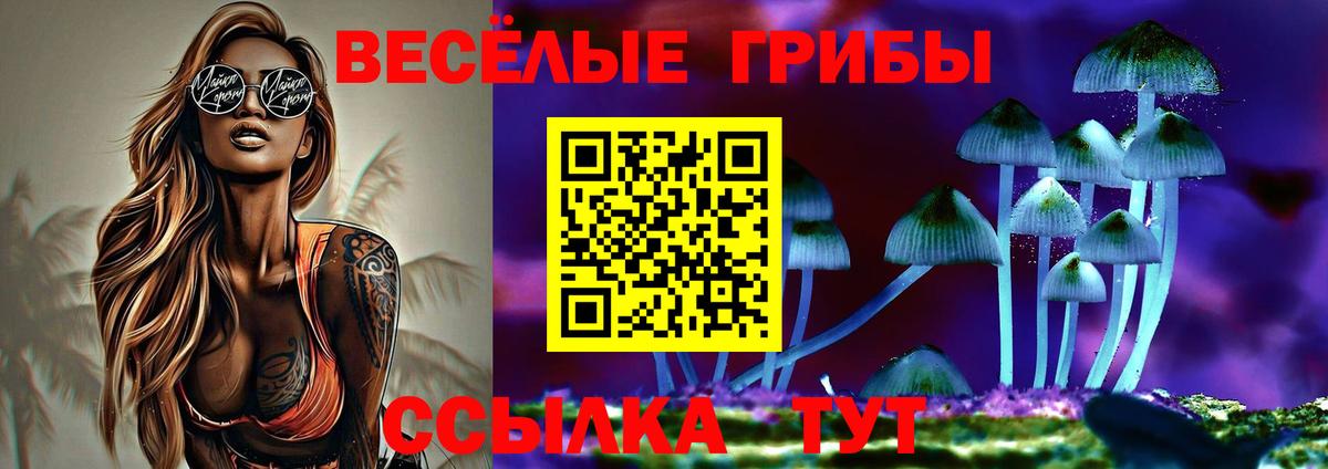 Псилоцибиновые грибы мухоморы Белово